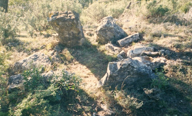 dolmen de l'Amarron (février 1994)