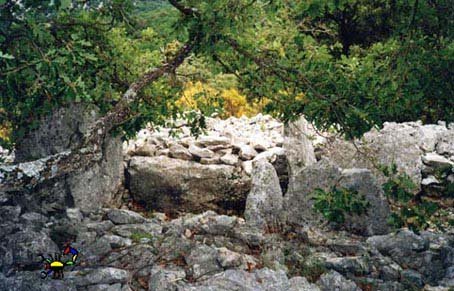 dolmen de la brainée