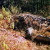 dolmen des bernards (saint-cézaire)