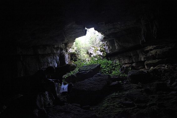 Grotte Bottin ou du Cafard