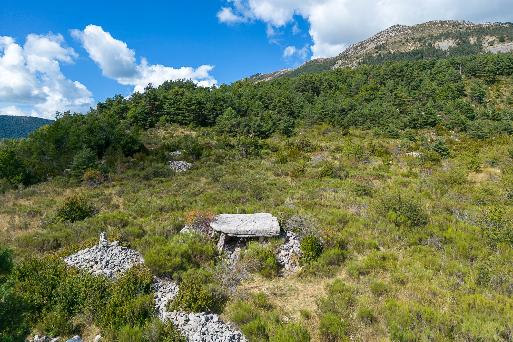 04 DJI 0200 web