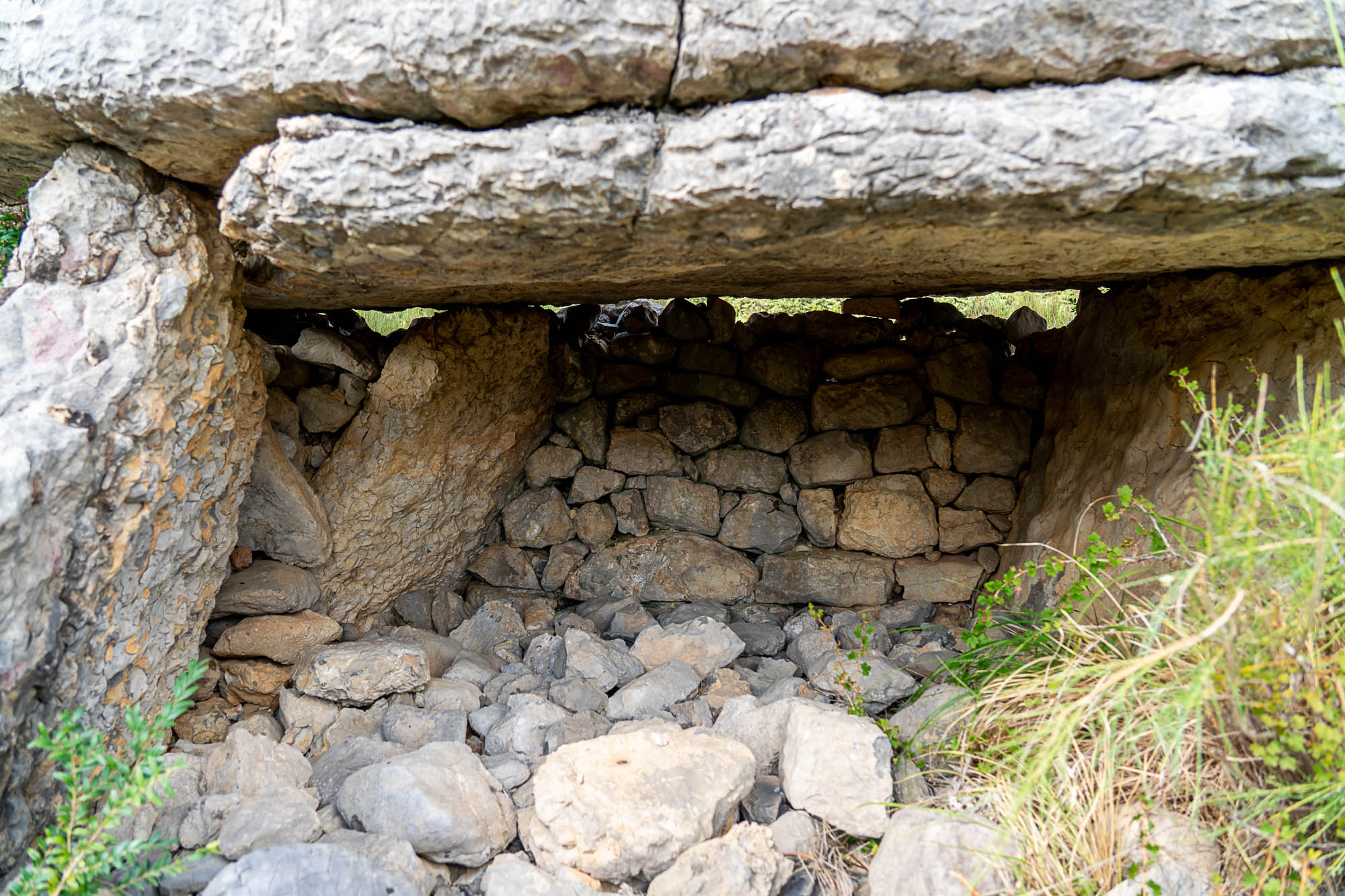 05 A7R4295 web