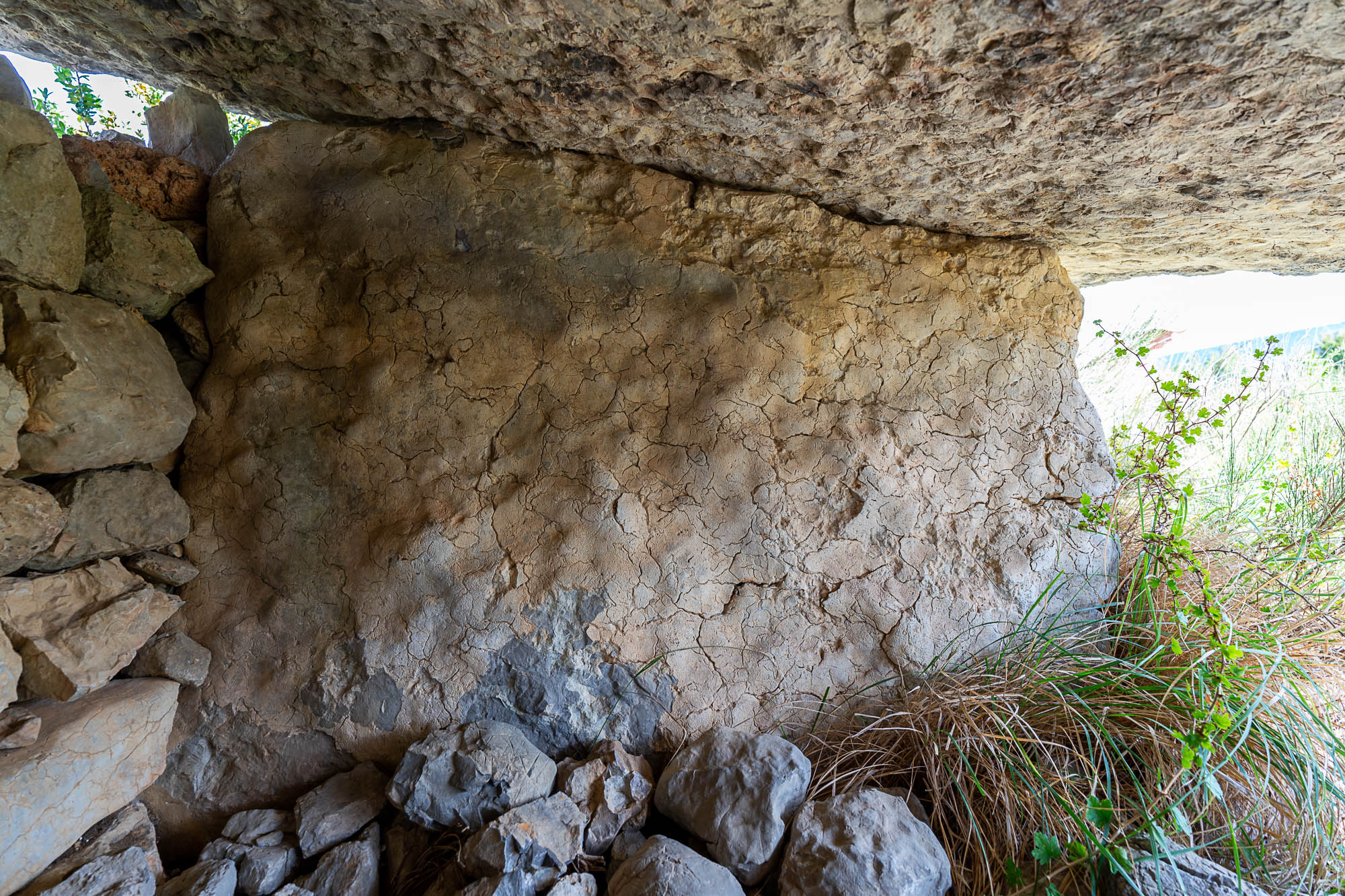 06 A7R4309 web