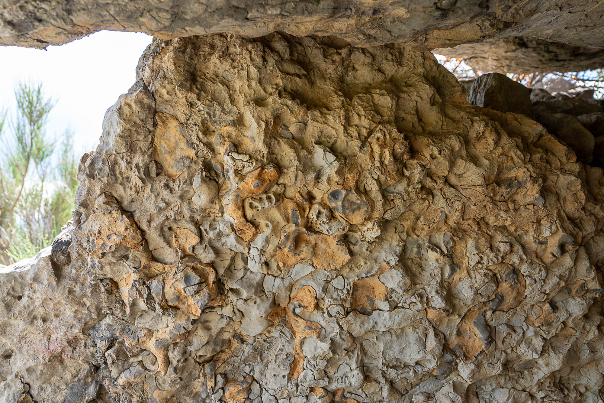 07 A7R4311 web