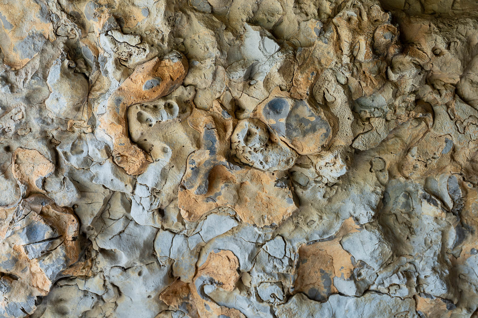 08 A7R4312 web