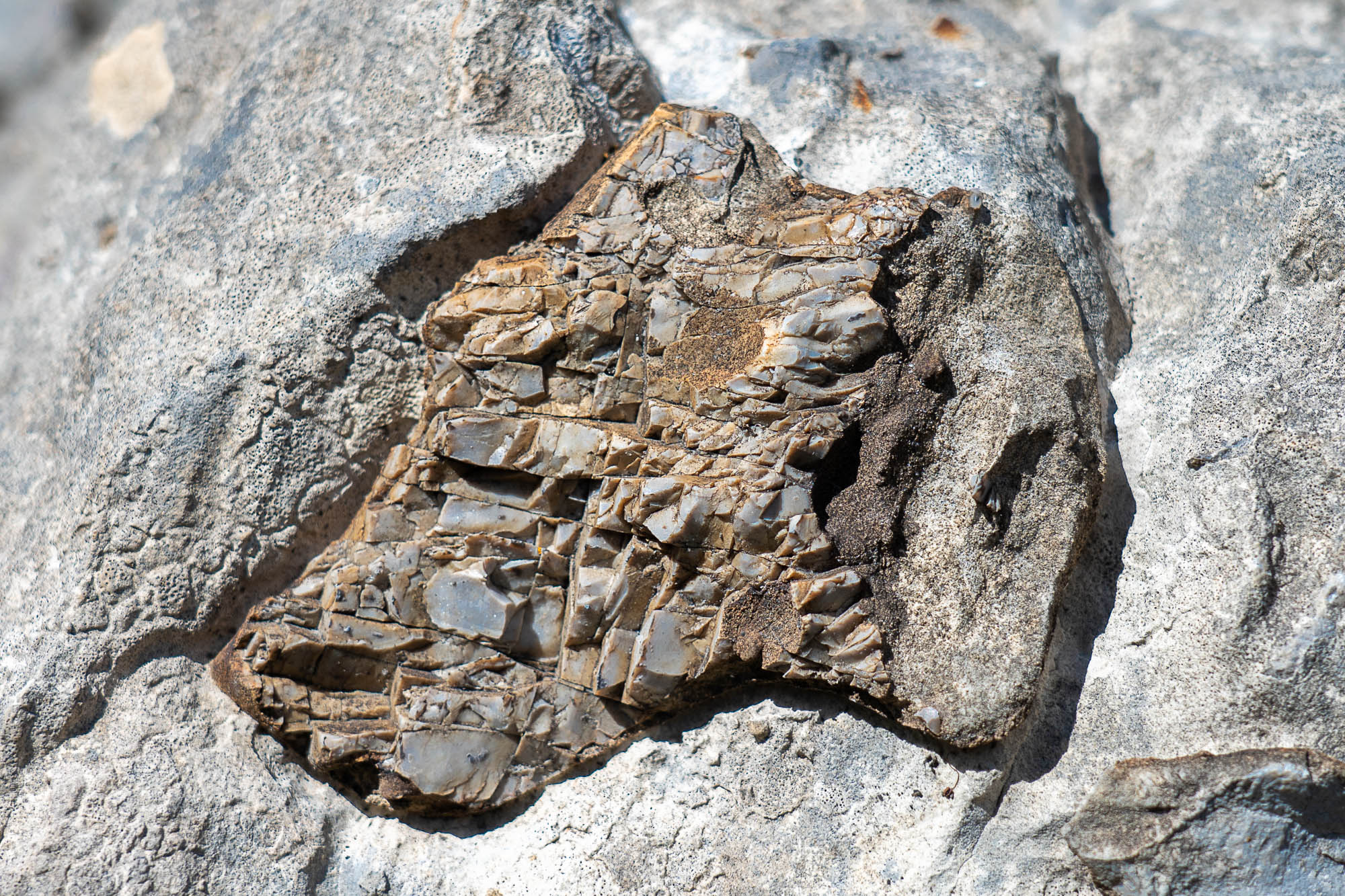 09 A7R4294 web