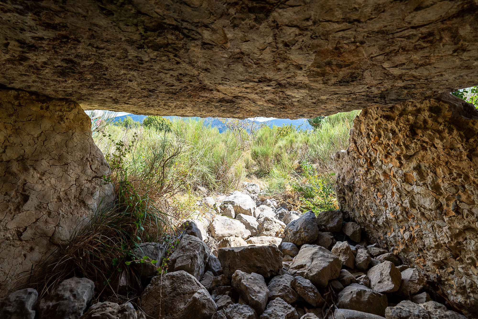 10 A7R4308 web