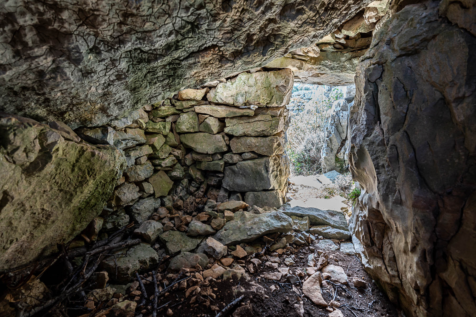 04 A7R4220 web