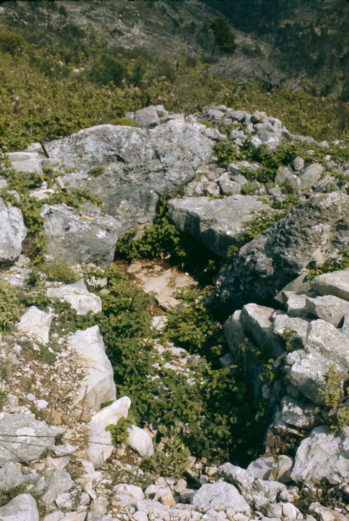 St Cézaire Dolmen du Serre Dinguilhé 10A 021 1974