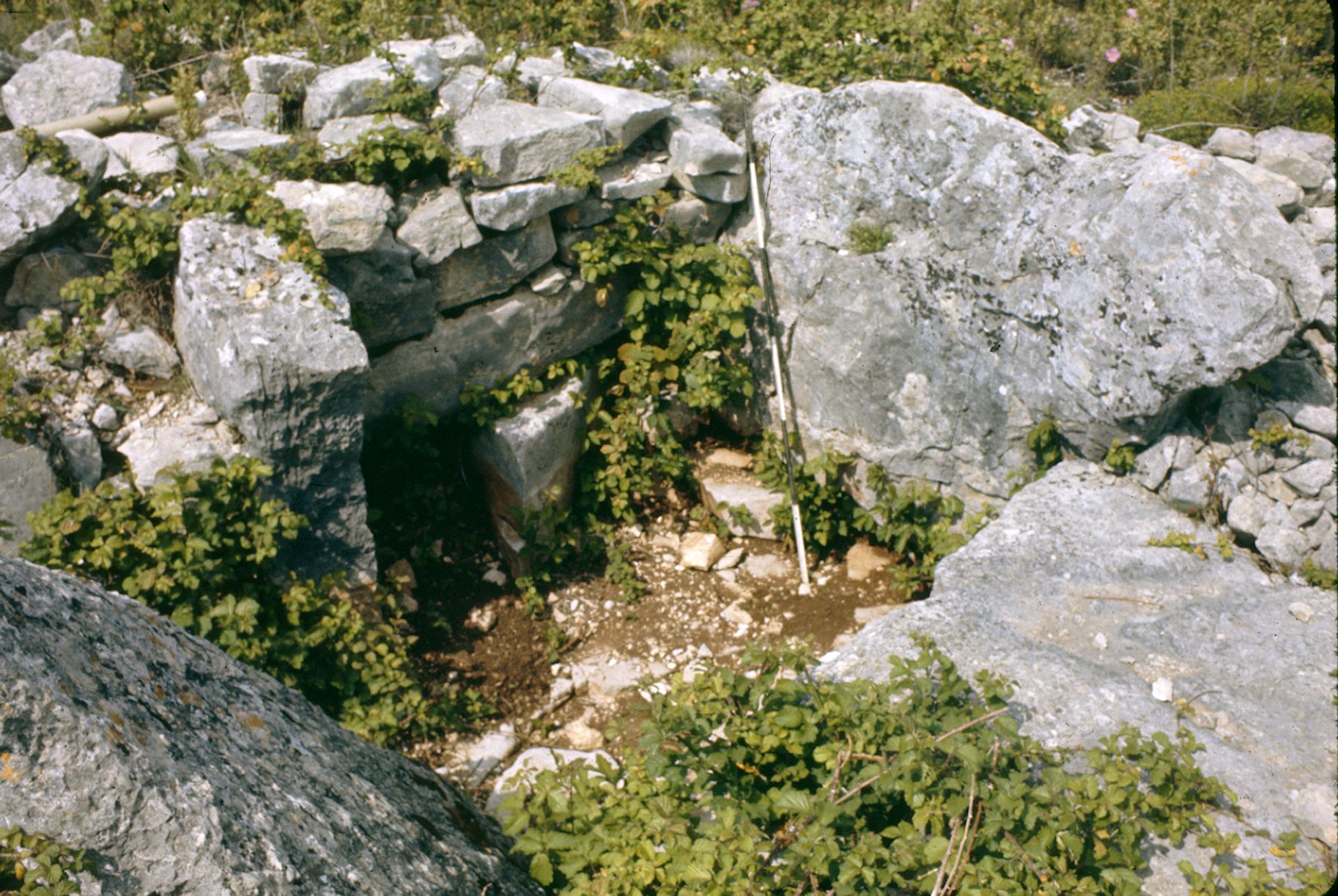St Cézaire Dolmen du Serre Dinguilhé 10A 022 1974