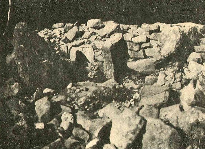 phoca thumb l serre dinguille 1905 0002