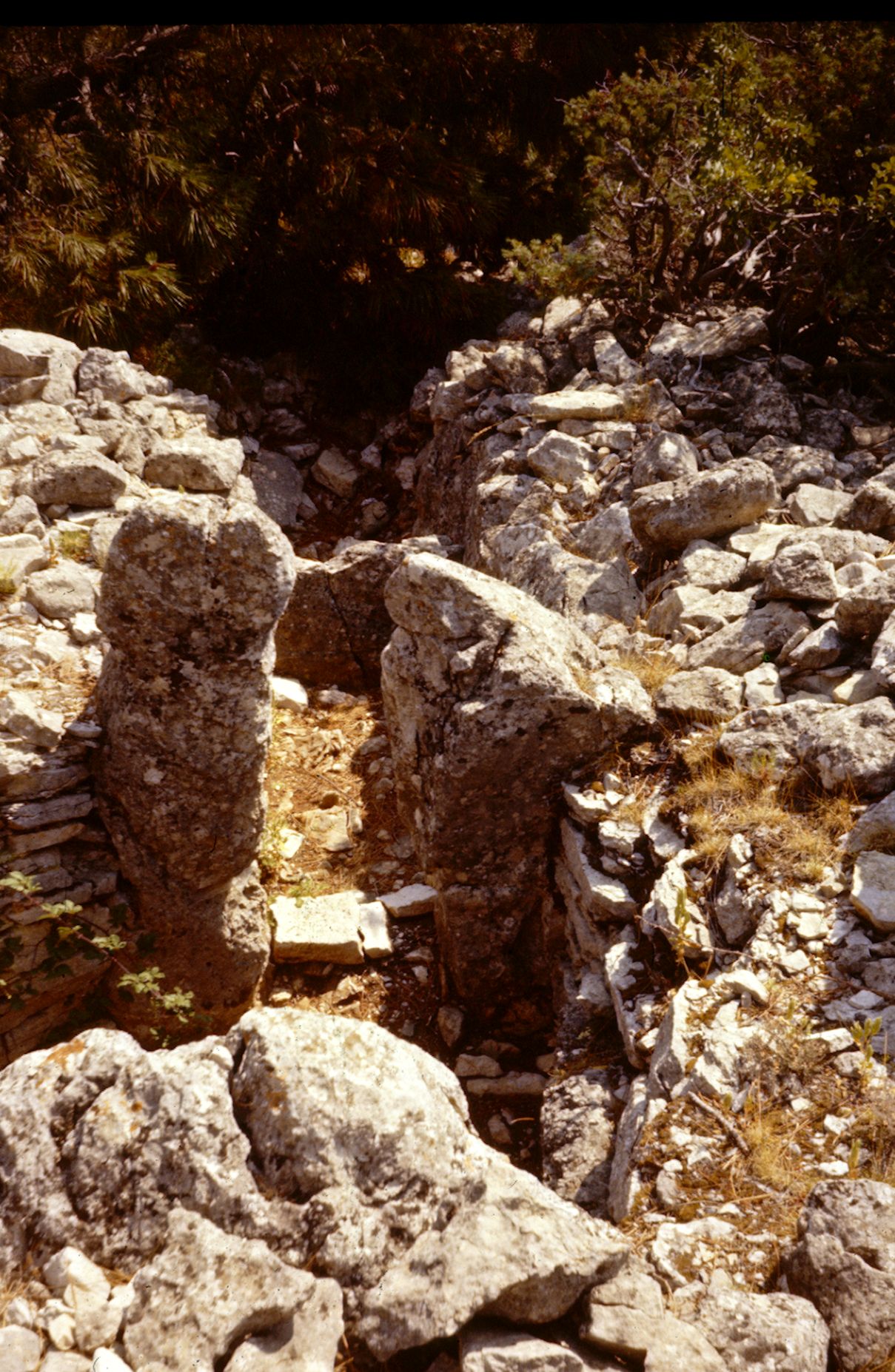 St Cézaire Dolmen de Collebasse 2 10A 013 1974