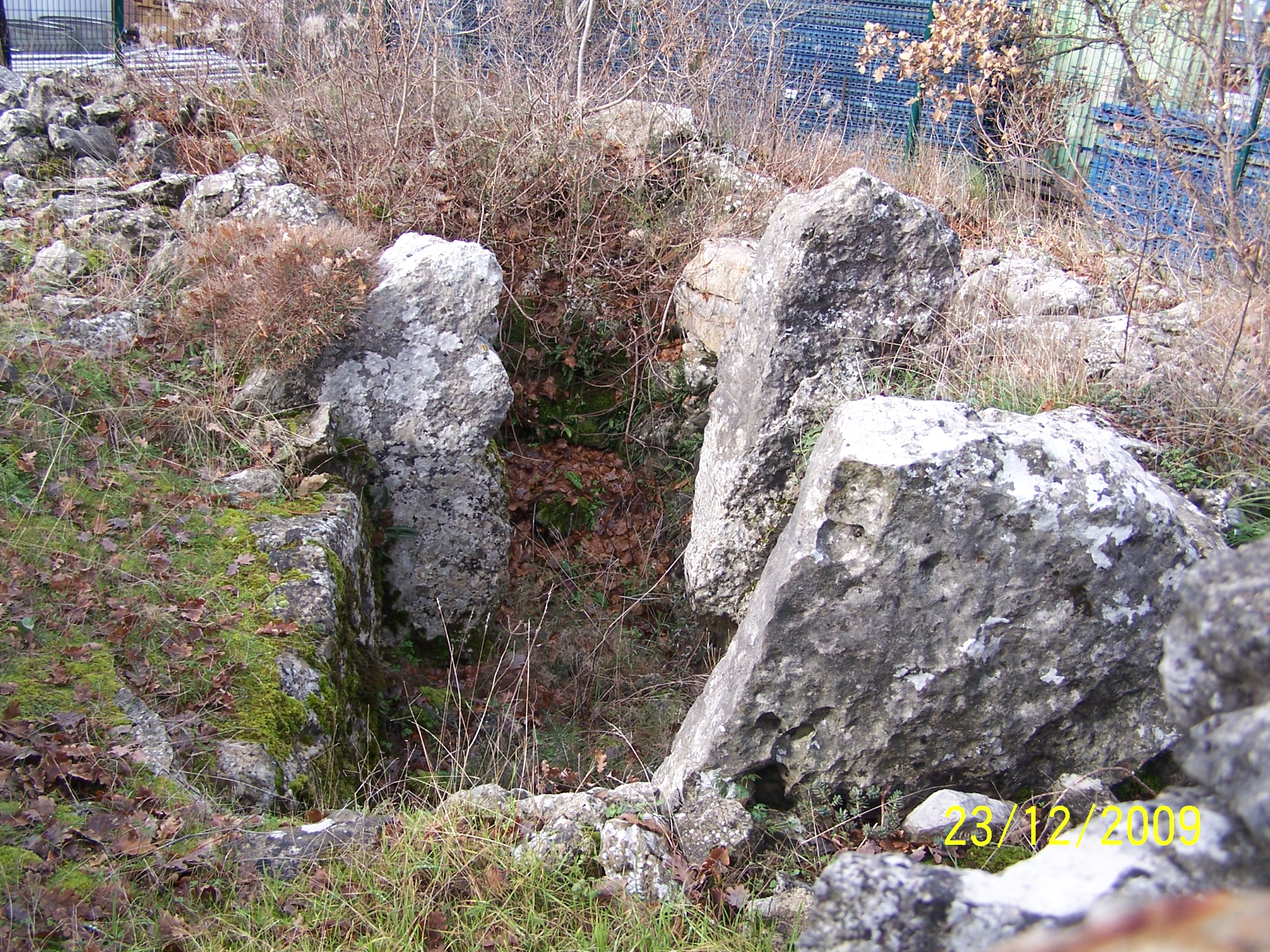 graou23 déc 2009 010