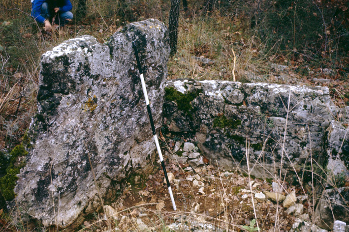 Dolmen du Prignon 1974 a