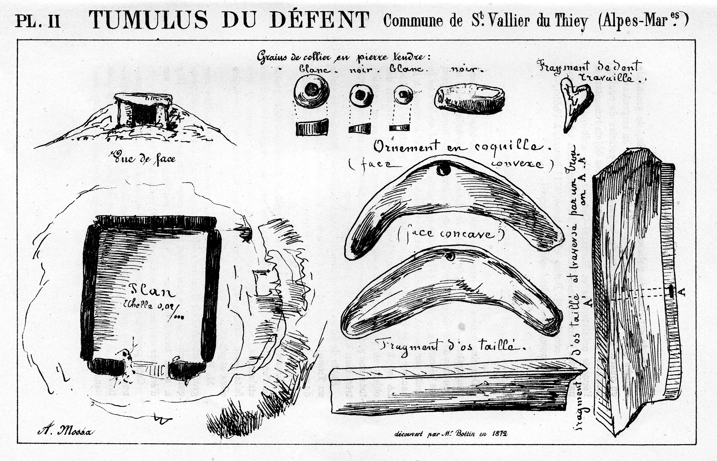 verdoline CAF1880